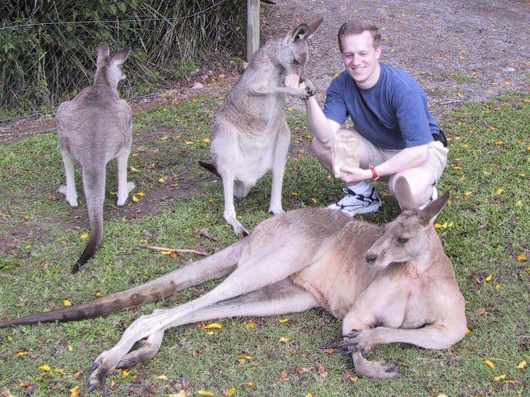 Kangaroo family Blank Meme Template