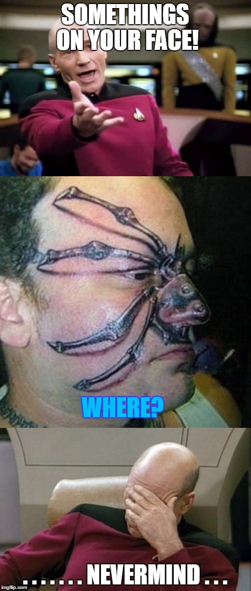 Um there's something on your face(tattoo week?)  | SOMETHINGS ON YOUR FACE! WHERE? . . . . . . . NEVERMIND . . . | image tagged in captain picard facepalm,spider tattoo | made w/ Imgflip meme maker