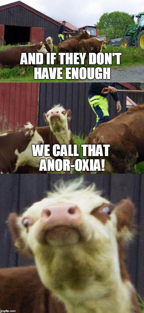 AND IF THEY DON'T HAVE ENOUGH WE CALL THAT ANOR-OXIA! | made w/ Imgflip meme maker