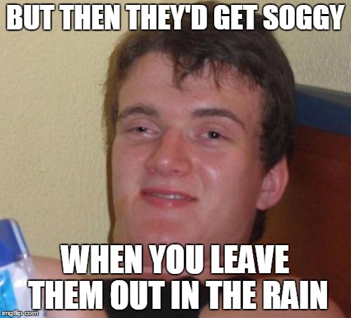 10 Guy Meme | BUT THEN THEY'D GET SOGGY WHEN YOU LEAVE THEM OUT IN THE RAIN | image tagged in memes,10 guy | made w/ Imgflip meme maker