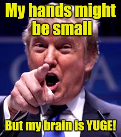 Trump Trademark | My hands might be small; But my brain is YUGE! | image tagged in trump trademark | made w/ Imgflip meme maker