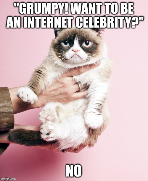 Celebrity grumpy cat | "GRUMPY! WANT TO BE AN INTERNET CELEBRITY?"; NO | image tagged in celebrity grumpy cat | made w/ Imgflip meme maker