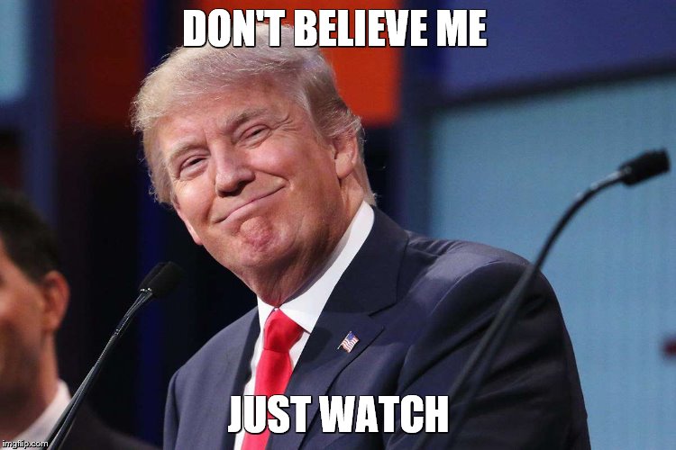 Donald Trump | DON'T BELIEVE ME; JUST WATCH | image tagged in donald trump | made w/ Imgflip meme maker