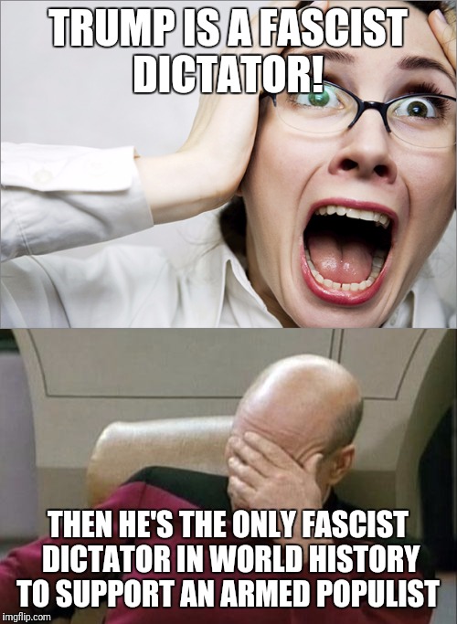 When emotions Trump logic | TRUMP IS A FASCIST DICTATOR! THEN HE'S THE ONLY FASCIST DICTATOR IN WORLD HISTORY TO SUPPORT AN ARMED POPULIST | image tagged in donald trump,liberal logic | made w/ Imgflip meme maker