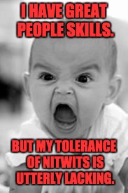 angry baby | I HAVE GREAT PEOPLE SKILLS. BUT MY TOLERANCE OF NITWITS IS UTTERLY LACKING. | image tagged in angry baby | made w/ Imgflip meme maker