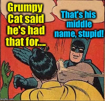 Batman Slapping Robin Meme | Grumpy Cat said he's had that for.... That's his middle name, stupid! | image tagged in memes,batman slapping robin | made w/ Imgflip meme maker
