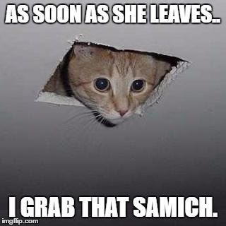 Ceiling Cat | AS SOON AS SHE LEAVES.. I GRAB THAT SAMICH. | image tagged in memes,ceiling cat | made w/ Imgflip meme maker