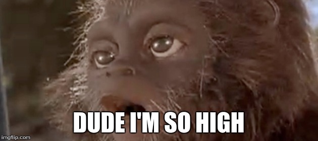 weed | DUDE I'M SO HIGH | image tagged in weed,smoke,high,2014mlg jokes | made w/ Imgflip meme maker