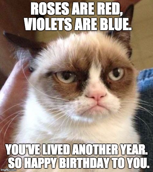 Grumpy Cat Reverse | ROSES ARE RED, VIOLETS ARE BLUE. YOU'VE LIVED ANOTHER YEAR.  SO HAPPY BIRTHDAY TO YOU. | image tagged in memes,grumpy cat reverse,grumpy cat | made w/ Imgflip meme maker