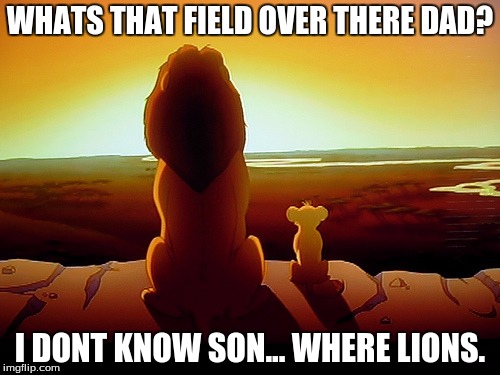 Lion King | WHATS THAT FIELD OVER THERE DAD? I DONT KNOW SON...
WHERE LIONS. | image tagged in memes,lion king | made w/ Imgflip meme maker