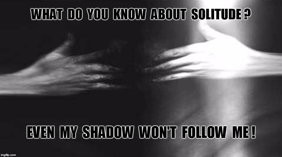Solitude | WHAT  DO  YOU  KNOW  ABOUT  SOLITUDE ? EVEN  MY  SHADOW  WON'T  FOLLOW  ME ! | image tagged in shadow,lonely | made w/ Imgflip meme maker