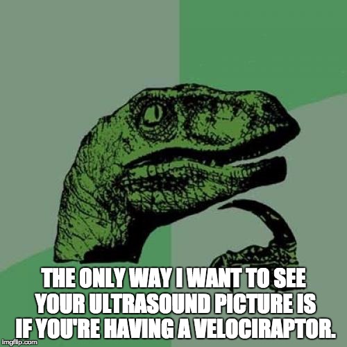 Philosoraptor | THE ONLY WAY I WANT TO SEE YOUR ULTRASOUND PICTURE IS IF YOU'RE HAVING A VELOCIRAPTOR. | image tagged in memes,philosoraptor | made w/ Imgflip meme maker