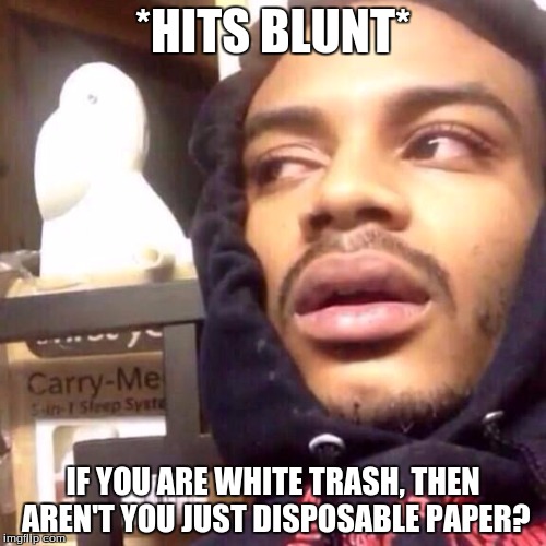 White Trash | *HITS BLUNT*; IF YOU ARE WHITE TRASH, THEN AREN'T YOU JUST DISPOSABLE PAPER? | image tagged in normie,hits blunt,paper | made w/ Imgflip meme maker