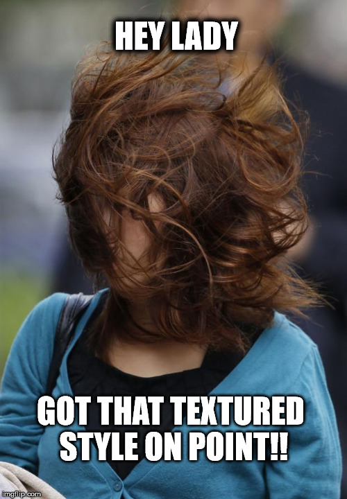 hair wind girl windy | HEY LADY; GOT THAT TEXTURED STYLE ON POINT!! | image tagged in hair wind girl windy | made w/ Imgflip meme maker
