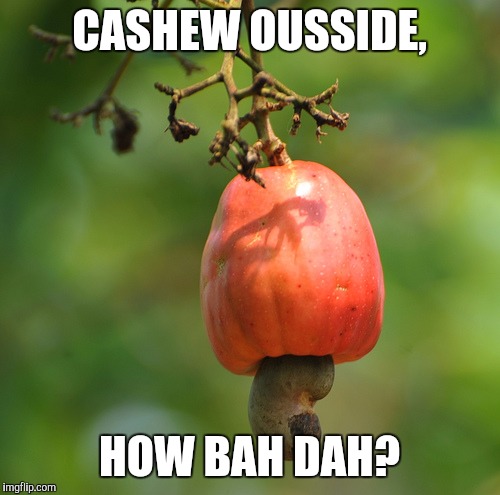 Cashew ousside | CASHEW OUSSIDE, HOW BAH DAH? | image tagged in cashew ousside | made w/ Imgflip meme maker