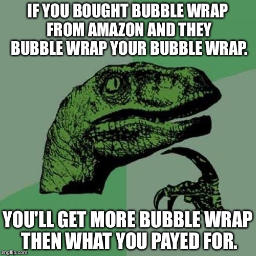 Philosoraptor Meme | IF YOU BOUGHT BUBBLE WRAP FROM AMAZON AND THEY BUBBLE WRAP YOUR BUBBLE WRAP. YOU'LL GET MORE BUBBLE WRAP THEN WHAT YOU PAYED FOR. | image tagged in memes,philosoraptor | made w/ Imgflip meme maker