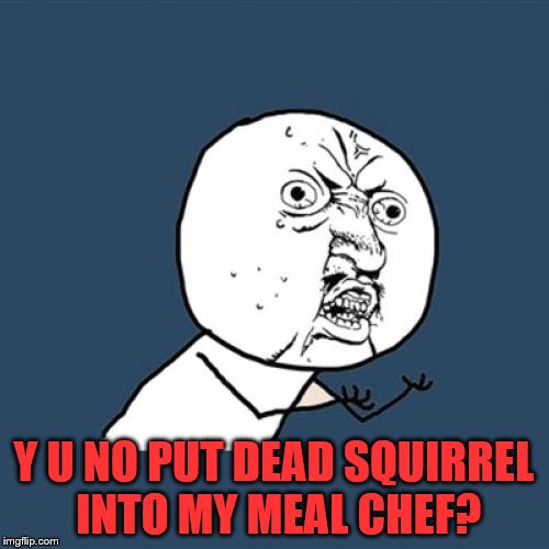 Y U No Meme | Y U NO PUT DEAD SQUIRREL INTO MY MEAL CHEF? | image tagged in memes,y u no | made w/ Imgflip meme maker