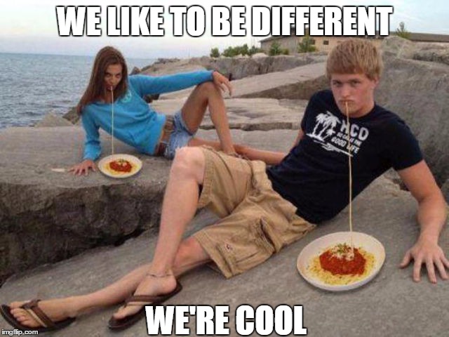 WE LIKE TO BE DIFFERENT; WE'RE COOL | image tagged in us | made w/ Imgflip meme maker