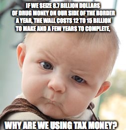 Skeptical Baby | IF WE SEIZE 8.7 BILLION DOLLARS OF DRUG MONEY ON OUR SIDE OF THE BORDER A YEAR, THE WALL COSTS 12 TO 15 BILLION TO MAKE AND A FEW YEARS TO COMPLETE, WHY ARE WE USING TAX MONEY? | image tagged in memes,skeptical baby | made w/ Imgflip meme maker