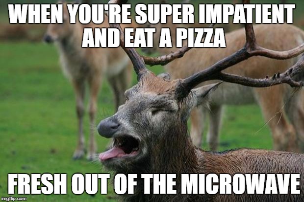 disgusted deer | WHEN YOU'RE SUPER IMPATIENT AND EAT A PIZZA; FRESH OUT OF THE MICROWAVE | image tagged in disgusted deer | made w/ Imgflip meme maker
