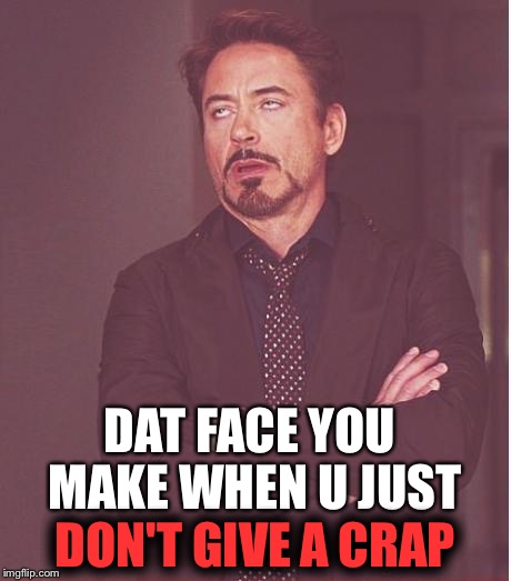 Face You Make Robert Downey Jr Meme | DAT FACE YOU MAKE WHEN U JUST; DON'T GIVE A CRAP | image tagged in memes,face you make robert downey jr | made w/ Imgflip meme maker