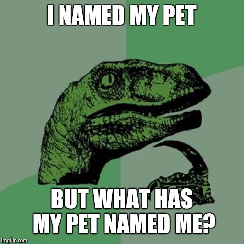 Philosoraptor | I NAMED MY PET; BUT WHAT HAS MY PET NAMED ME? | image tagged in memes,philosoraptor | made w/ Imgflip meme maker