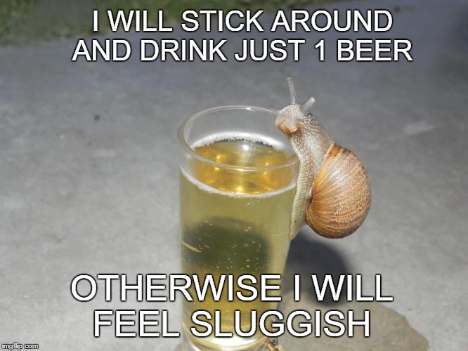 time for a beer  | I WILL STICK AROUND AND DRINK JUST 1 BEER; OTHERWISE I WILL FEEL SLUGGISH | image tagged in beer,1,snail,feel,slug life | made w/ Imgflip meme maker