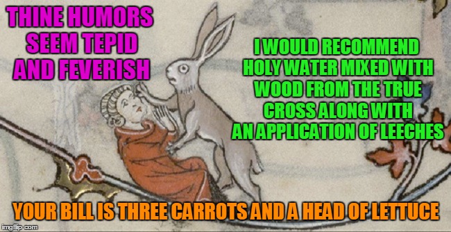 a knowledgeable and cuddly doctor is hard to find | THINE HUMORS SEEM TEPID AND FEVERISH; I WOULD RECOMMEND HOLY WATER MIXED WITH WOOD FROM THE TRUE CROSS ALONG WITH AN APPLICATION OF LEECHES; YOUR BILL IS THREE CARROTS AND A HEAD OF LETTUCE | image tagged in medieval,medieval memes,medieval musings,memes,historical | made w/ Imgflip meme maker
