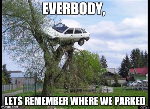 Secure Parking | EVERBODY, LETS REMEMBER WHERE WE PARKED | image tagged in memes,secure parking | made w/ Imgflip meme maker