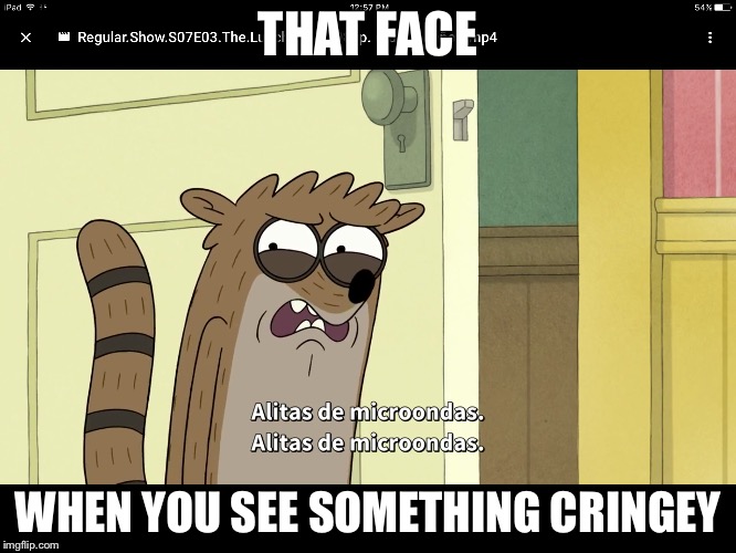 Rigby face | THAT FACE; WHEN YOU SEE SOMETHING CRINGEY | image tagged in regular show | made w/ Imgflip meme maker