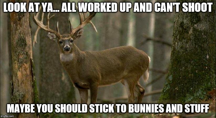 LOOK AT YA... ALL WORKED UP AND CAN'T SHOOT; MAYBE YOU SHOULD STICK TO BUNNIES AND STUFF | image tagged in memes | made w/ Imgflip meme maker