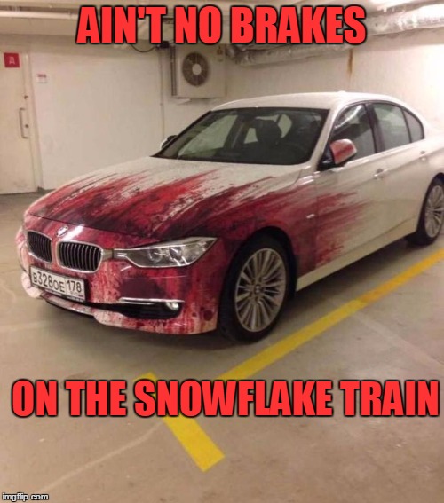 Thanks for the paint job. | AIN'T NO BRAKES; ON THE SNOWFLAKE TRAIN | image tagged in protesters | made w/ Imgflip meme maker