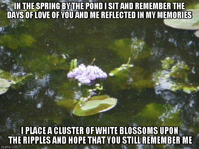 In the Springtime | IN THE SPRING BY THE POND I SIT AND REMEMBER
THE DAYS OF LOVE OF YOU AND ME REFLECTED IN MY MEMORIES; I PLACE A CLUSTER OF WHITE BLOSSOMS UPON THE RIPPLES AND HOPE THAT YOU STILL REMEMBER ME | image tagged in spring,ponds,memories,white blossoms | made w/ Imgflip meme maker