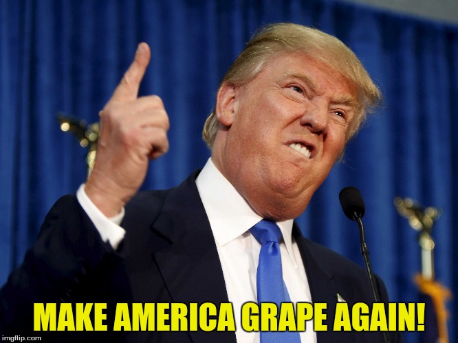 MAKE AMERICA GRAPE AGAIN! | made w/ Imgflip meme maker
