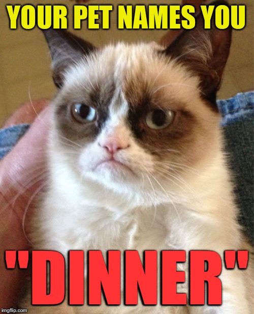 Grumpy Cat Meme | YOUR PET NAMES YOU "DINNER" | image tagged in memes,grumpy cat | made w/ Imgflip meme maker