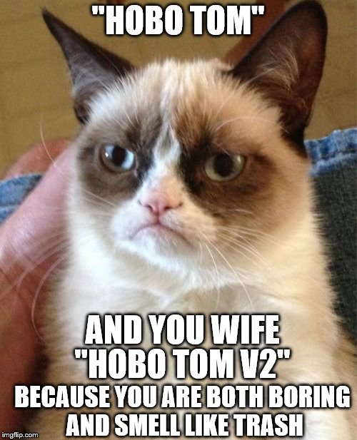 Grumpy Cat Meme | "HOBO TOM" AND YOU WIFE "HOBO TOM V2" BECAUSE YOU ARE BOTH BORING AND SMELL LIKE TRASH | image tagged in memes,grumpy cat | made w/ Imgflip meme maker