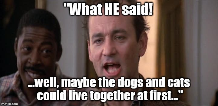 "What HE said! ...well, maybe the dogs and cats could live together at first..." | made w/ Imgflip meme maker