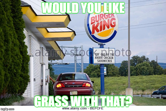 WOULD YOU LIKE; GRASS WITH THAT? | image tagged in burker king,cannabis,marijuana | made w/ Imgflip meme maker