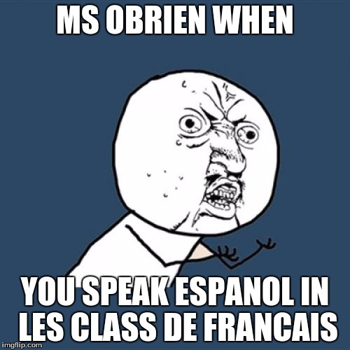 Y U No Meme | MS OBRIEN WHEN; YOU SPEAK ESPANOL IN LES CLASS DE FRANCAIS | image tagged in memes,y u no | made w/ Imgflip meme maker
