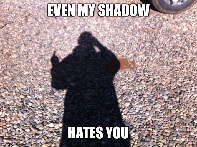 Shadow | EVEN MY SHADOW; HATES YOU | image tagged in shadow | made w/ Imgflip meme maker