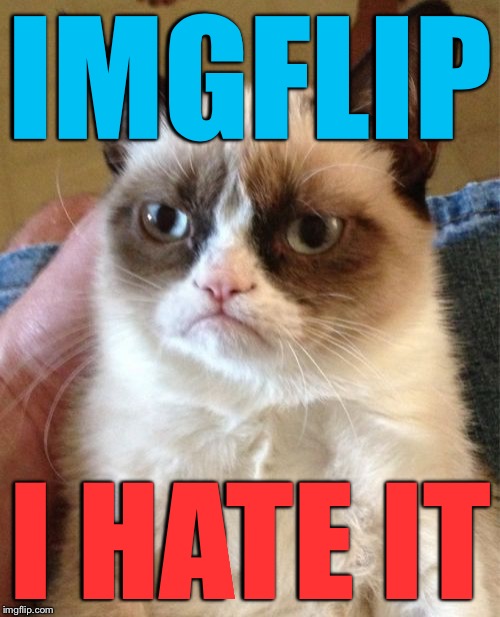 Grumpy Cat doesn't pull punches | IMGFLIP; I HATE IT | image tagged in memes,grumpy cat | made w/ Imgflip meme maker