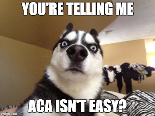 ACA isn't easy | YOU'RE TELLING ME; ACA ISN'T EASY? | image tagged in husky richard,obamacare | made w/ Imgflip meme maker