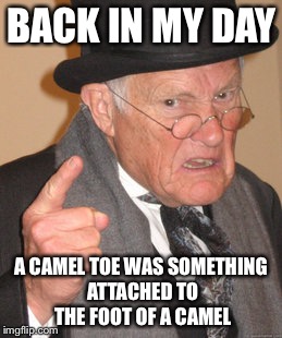 Back In My Day Meme | BACK IN MY DAY; A CAMEL TOE WAS SOMETHING ATTACHED TO THE FOOT OF A CAMEL | image tagged in memes,back in my day | made w/ Imgflip meme maker