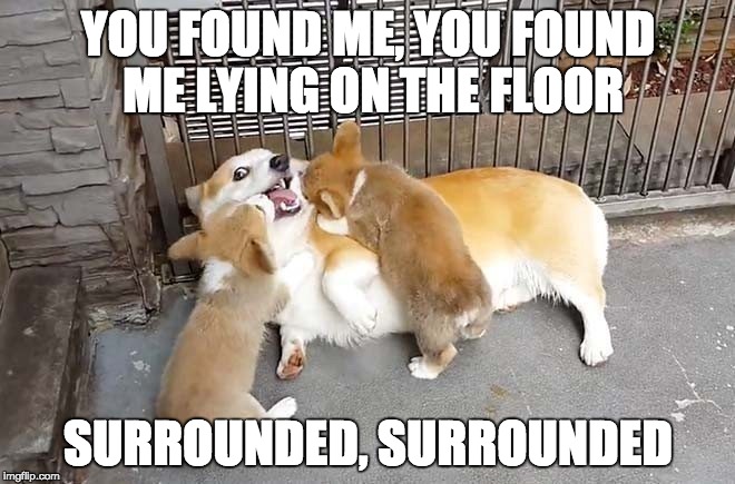 Imgflip