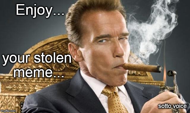 Enjoy... your stolen meme... sotto voice | image tagged in arnold | made w/ Imgflip meme maker