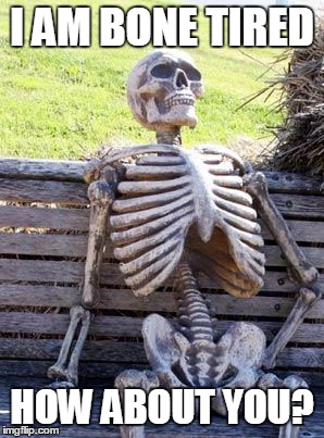 Waiting Skeleton | I AM BONE TIRED; HOW ABOUT YOU? | image tagged in memes,waiting skeleton | made w/ Imgflip meme maker