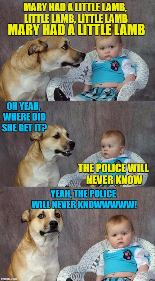Dad Joke Dog Meme | MARY HAD A LITTLE LAMB, LITTLE LAMB, LITTLE LAMB; MARY HAD A LITTLE LAMB; OH YEAH, WHERE DID SHE GET IT? THE POLICE WILL NEVER KNOW; YEAH, THE POLICE WILL NEVER KNOWWWWW! | image tagged in memes,dad joke dog | made w/ Imgflip meme maker