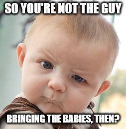 Skeptical Baby Meme | SO YOU'RE NOT THE GUY BRINGING THE BABIES, THEN? | image tagged in memes,skeptical baby | made w/ Imgflip meme maker