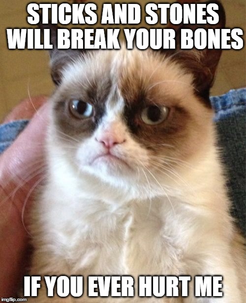Grumpy Cat Meme | STICKS AND STONES WILL BREAK YOUR BONES; IF YOU EVER HURT ME | image tagged in memes,grumpy cat | made w/ Imgflip meme maker