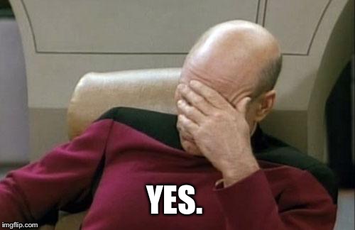 Captain Picard Facepalm Meme | YES. | image tagged in memes,captain picard facepalm | made w/ Imgflip meme maker